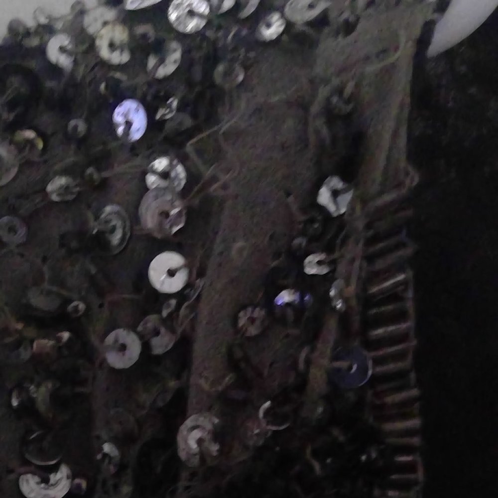Zara Beaded and Sequined Vest Size S - Picture 6 of 6